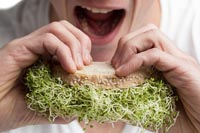 shutterstock_180083381_Veganism_200px
