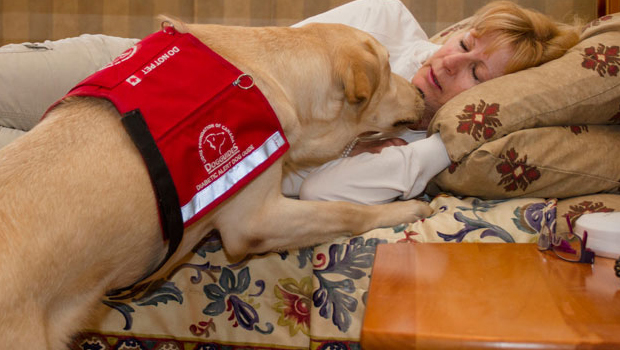 Photo of Sniffing Out Hypos