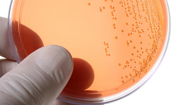 Photo of Cure?! &ndash; Examining the Stem Cell News
