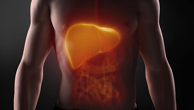 Photo of Insulin-Producing Cells Made in the Liver