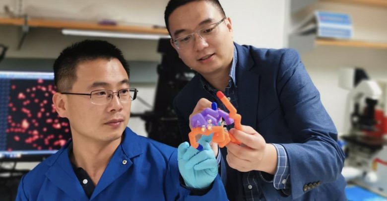 Photo of Blood glucose-dependent insulin delivery to simplify treatment